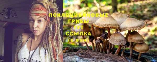 амфетамин Белокуриха