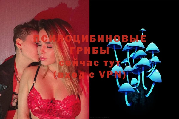 амфетамин Белокуриха
